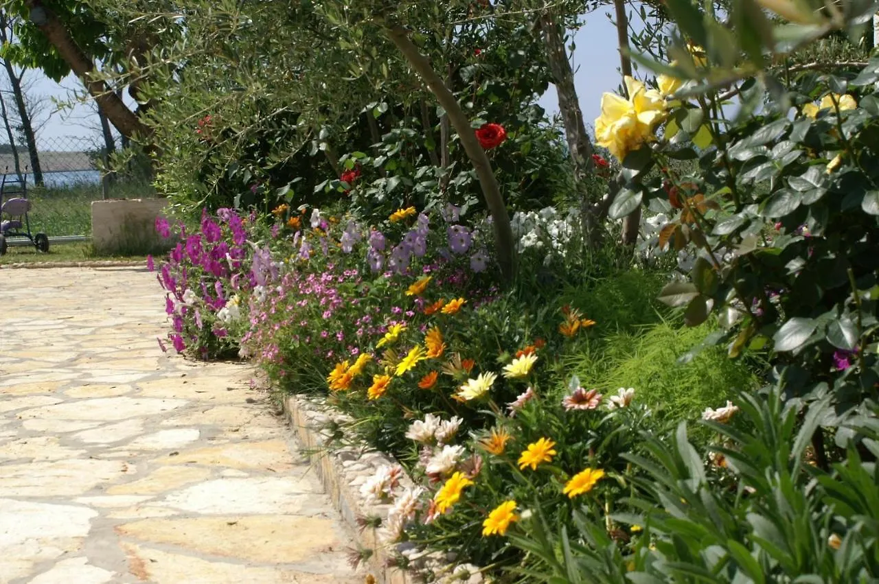 Family Friendly Seaside Apartments Povljana, Pag - 230 0*, Povljana